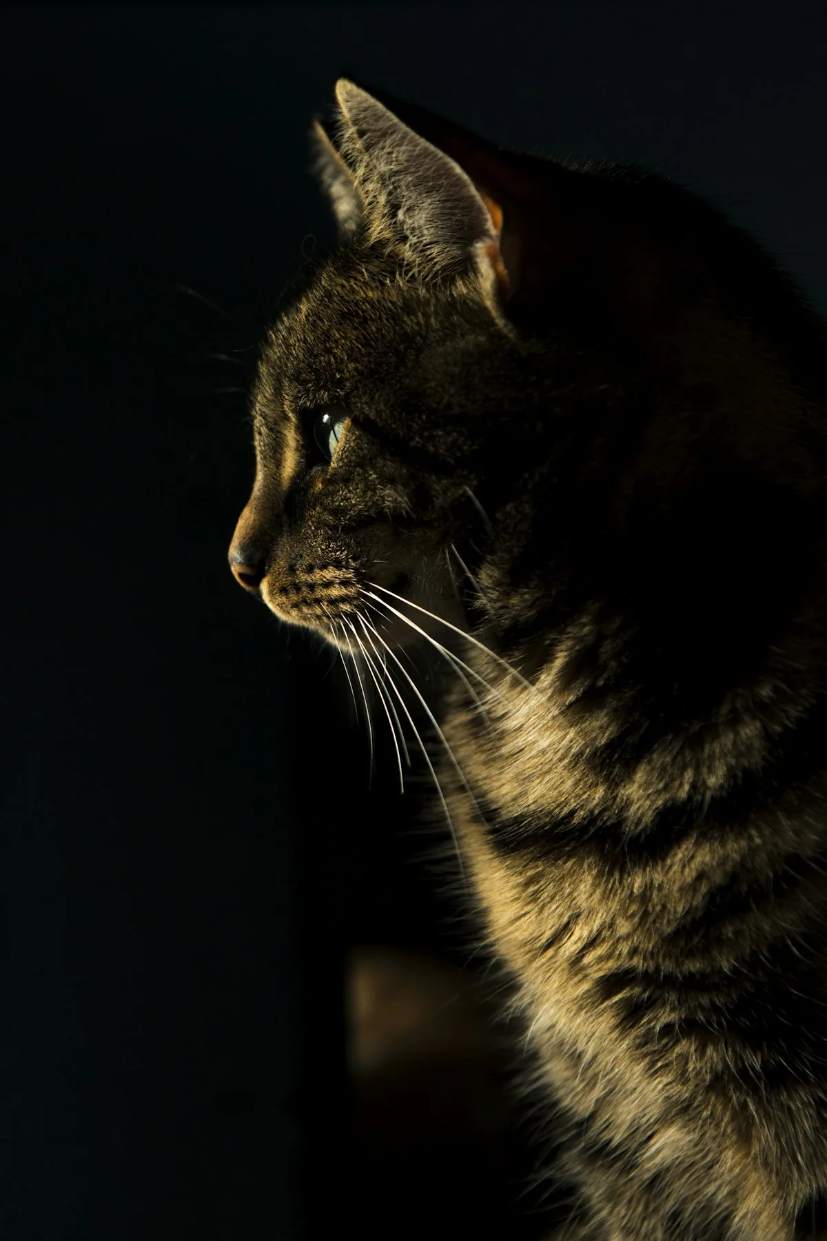 Imagem ilustrativa — Foto: Unsplash