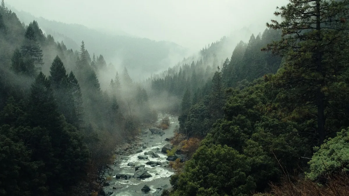 Céu nublado com chuva no inverno do Nordeste — Foto: Unsplash