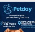 Você está visualizando atualmente Prefeitura promove evento de Adoção Responsável de cães e gatos