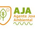 Você está visualizando atualmente Secretaria de Agricultura Familiar e Assuntos Indígenas divulga inscrições para o Programa Agente Jovem Ambiental para povos indígenas