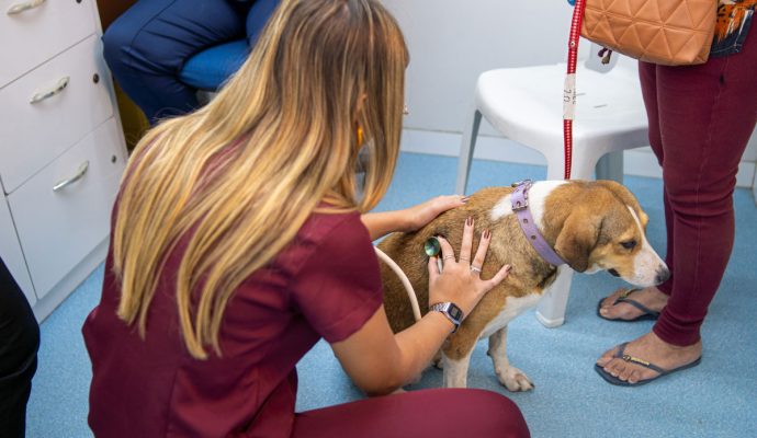 VetMóvel permanece no Jereissati I com atendimentos gratuitos até 31